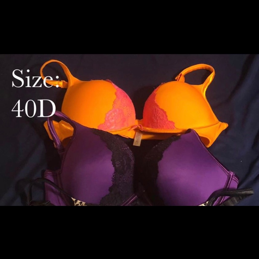 Lane Bryant bras